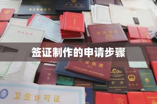 汉阳签证制作的申请步骤