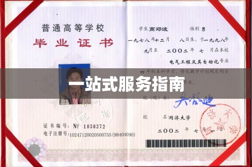 汉阳一站式服务指南