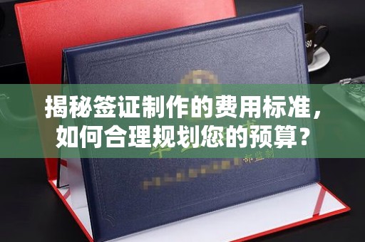 汉阳揭秘签证制作的费用标准，如何合理规划您的预算？
