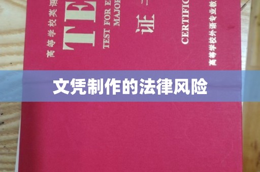 汉阳文凭制作的法律风险