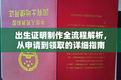 汉阳出生证明制作全流程解析，从申请到领取的详细指南
